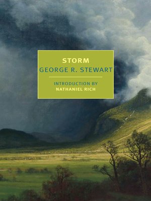 Storm - ebook